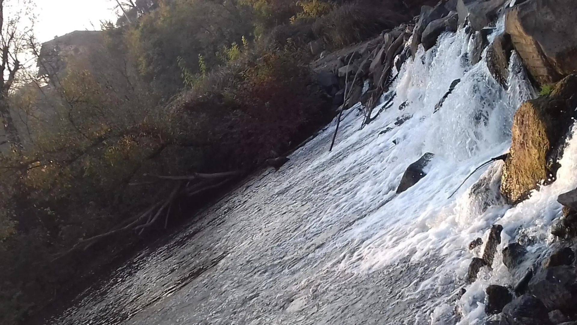 Studio apartman Trdina