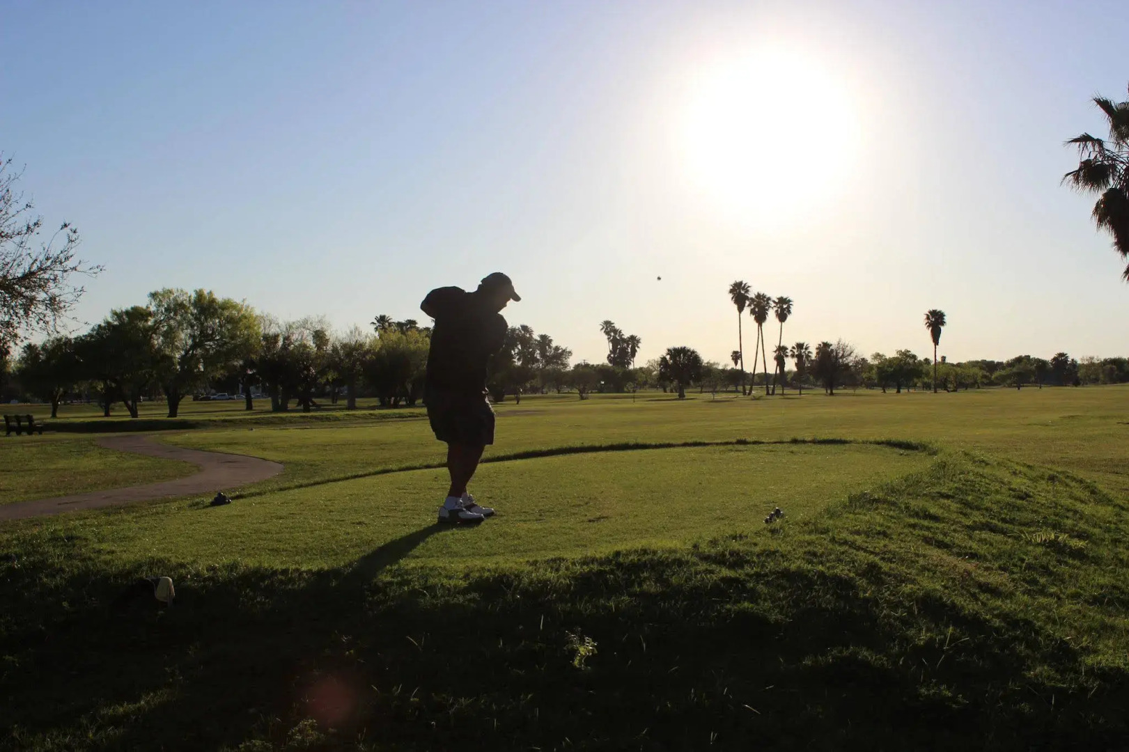 Best Western Plus Edinburg Inn & Suites