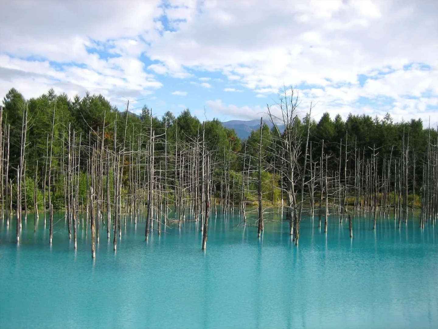 Hoshino Resorts RISONARE Tomamu