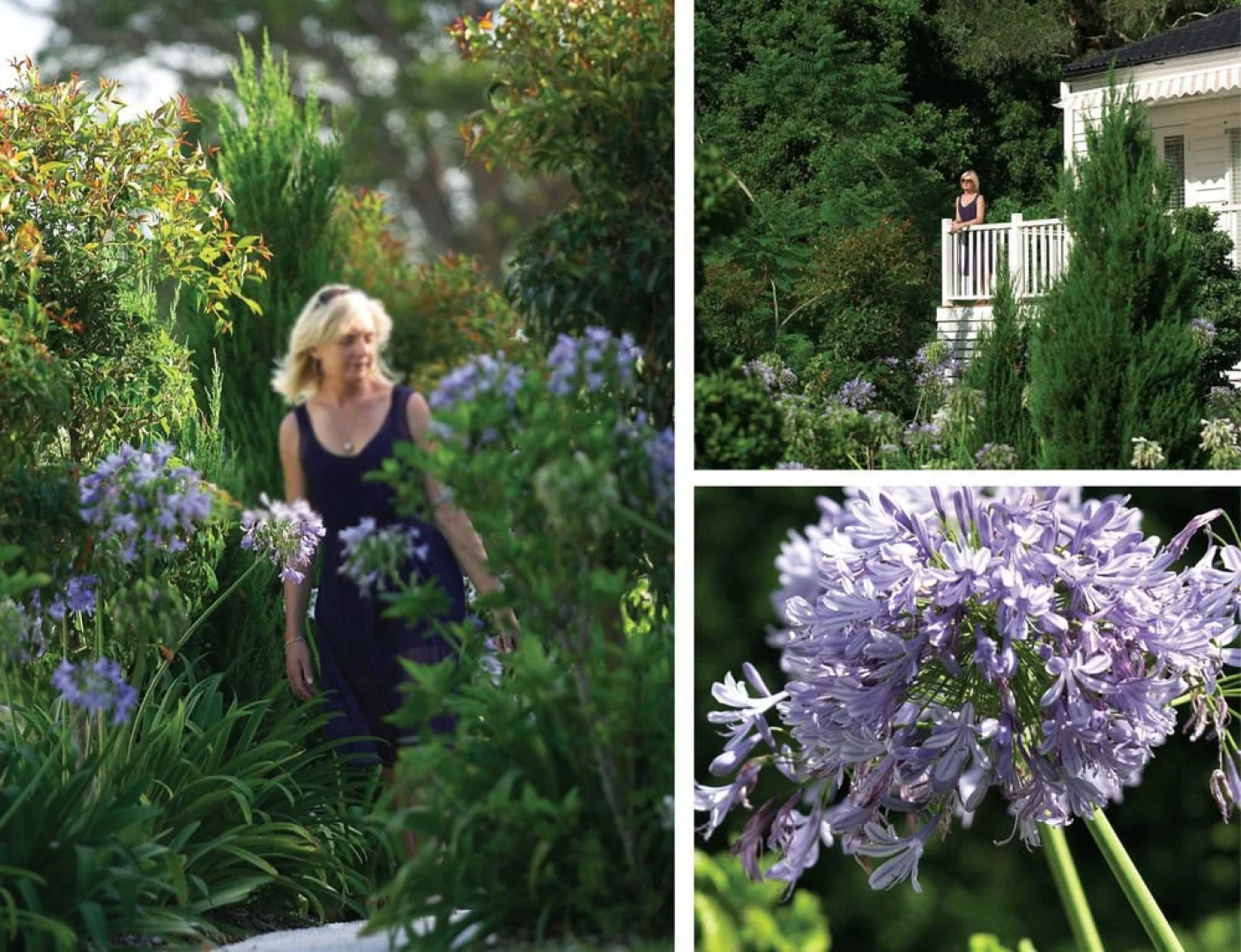 The Kingscliff Seaside Guesthouse