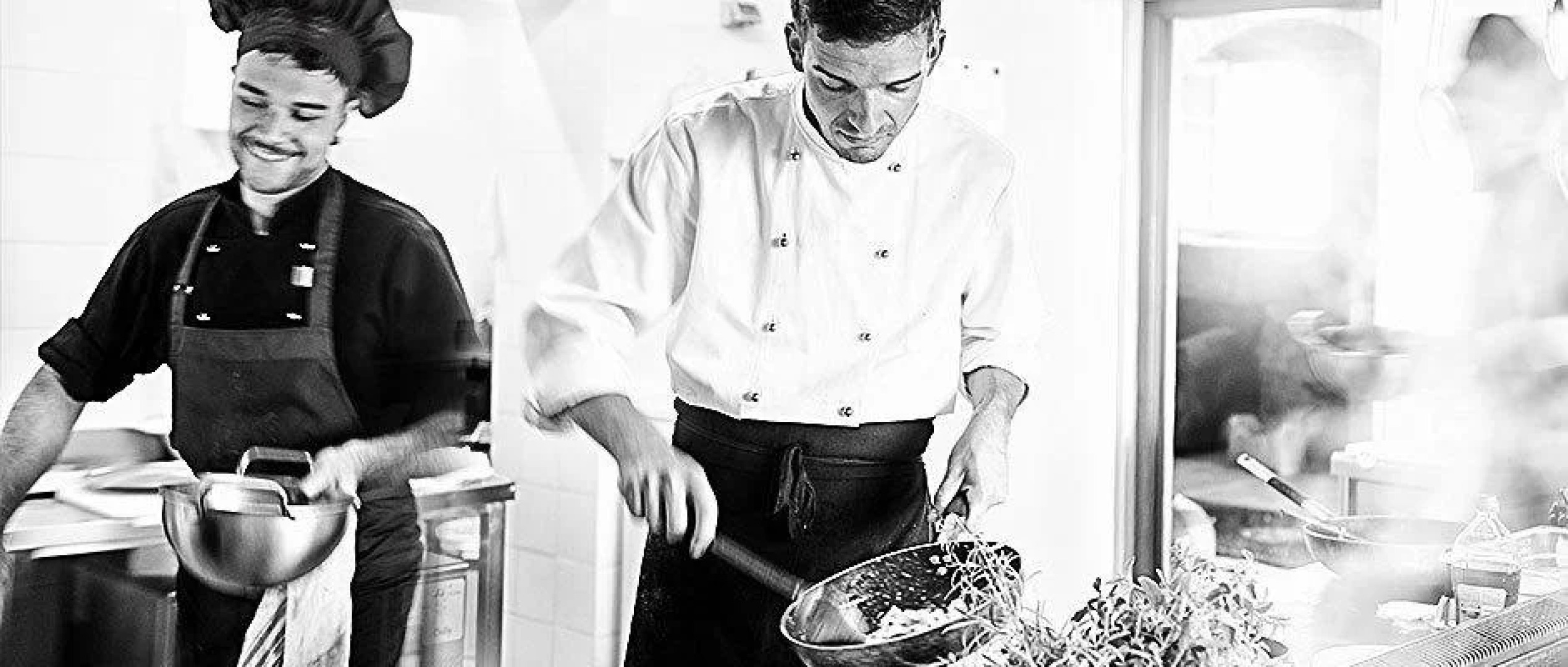 Agriturismo Gattogiallo