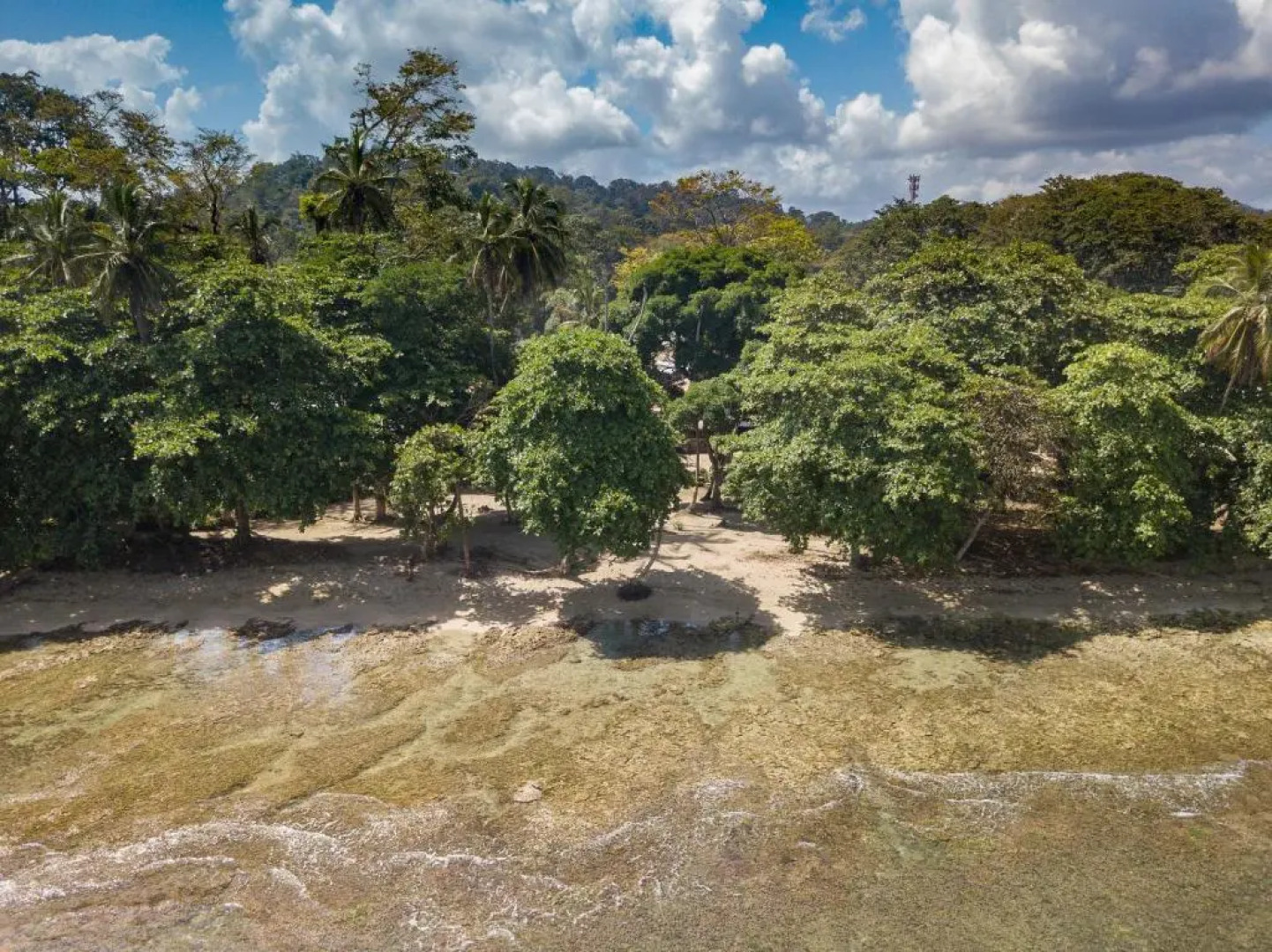 Yucca Beachfront Hotel