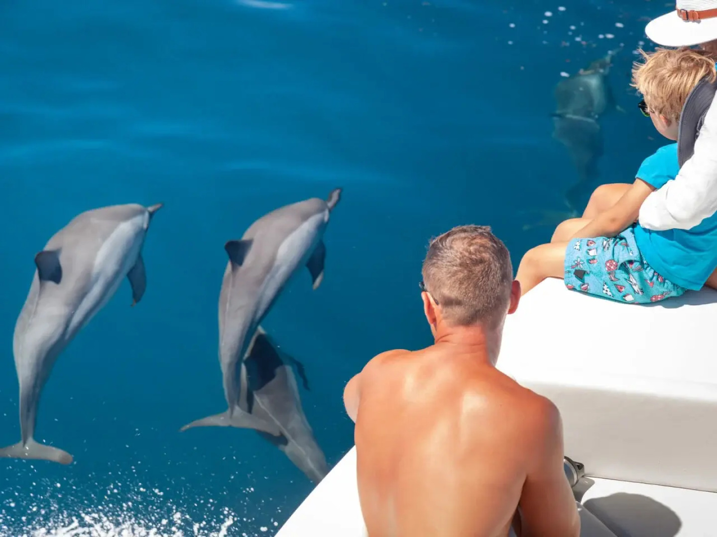 Alphonse Island Resort