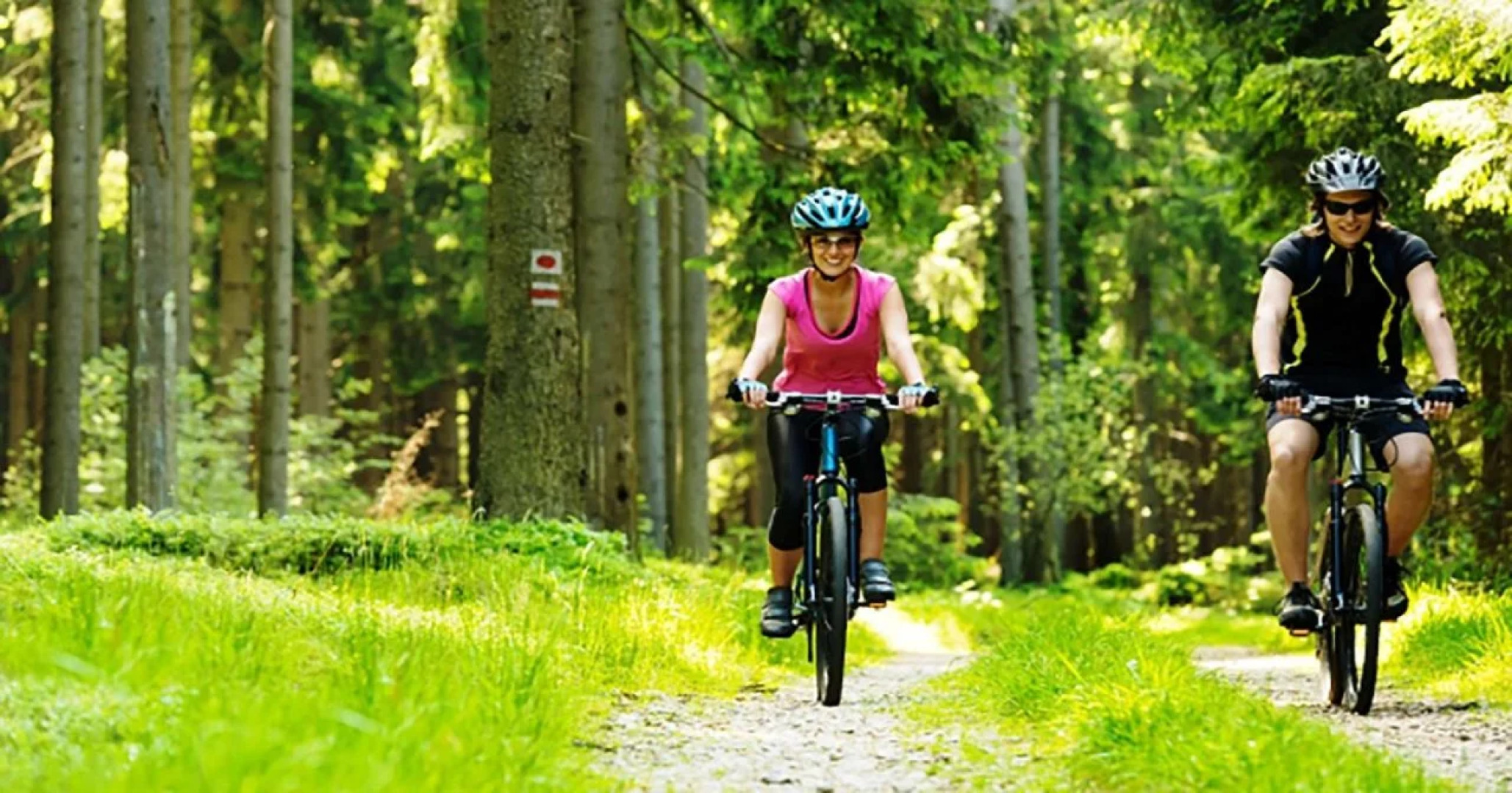 Best Western Plus Gadsden Hotel & Suites