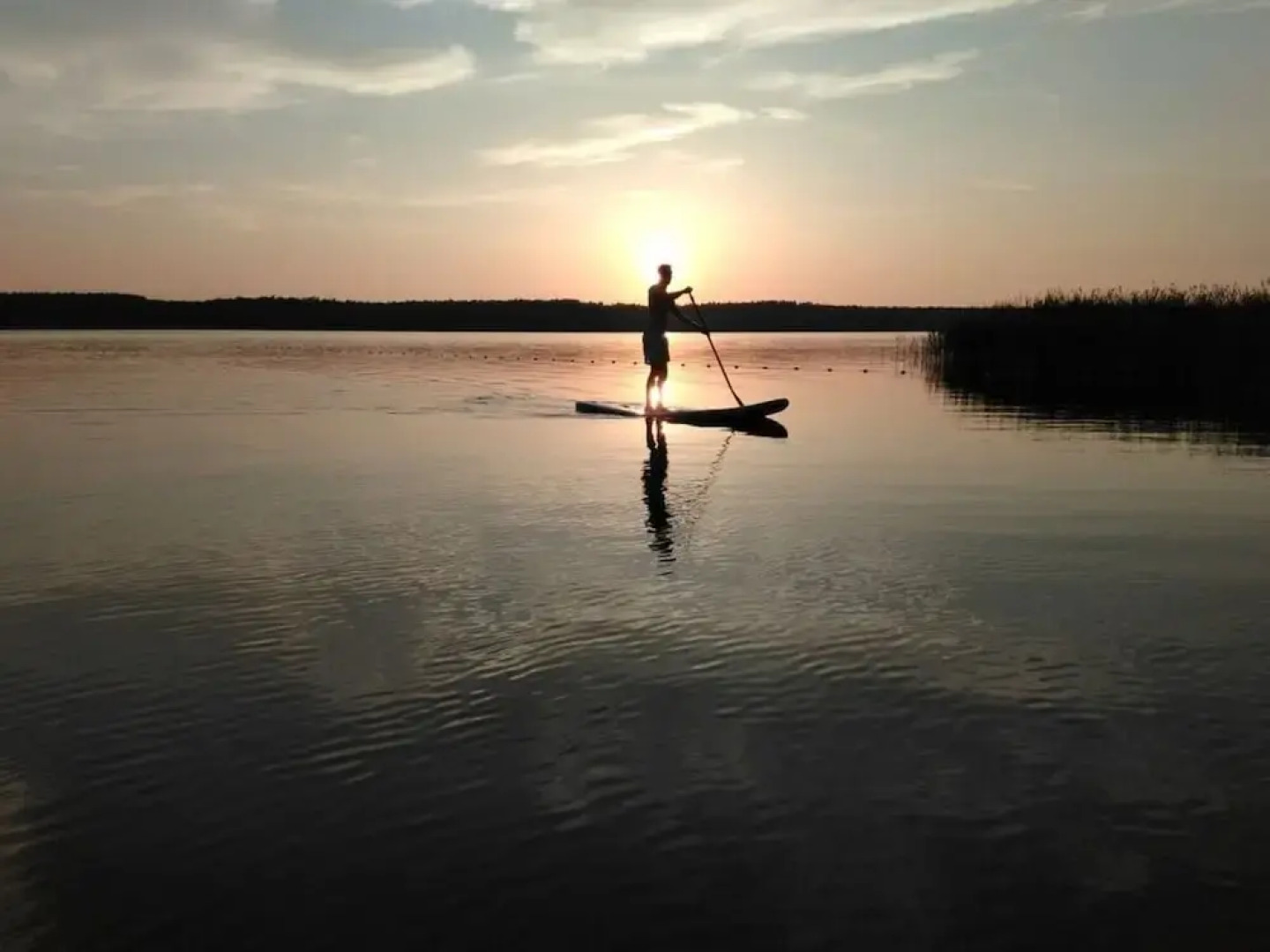 Holiday Home Vogelsang