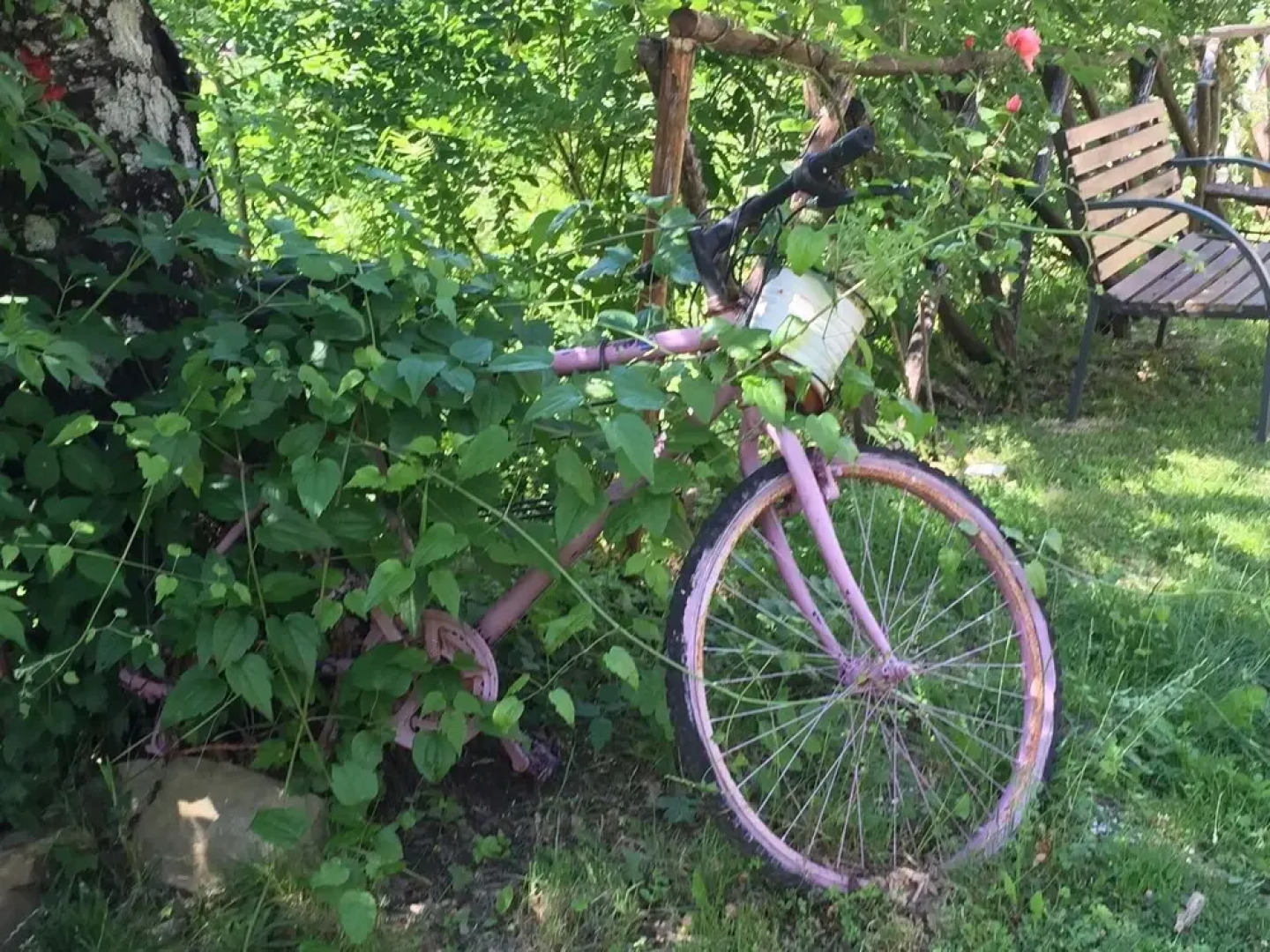 Rustic Country House in the Hills and Forests With Swimming Pool