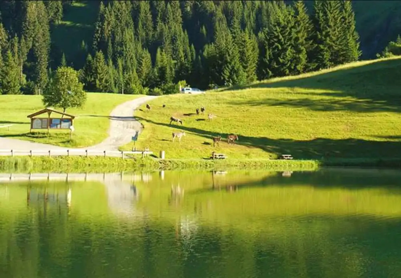 Apartment With 3 Bedrooms in Saint-jean-d'aulps, With Wonderful Mounta