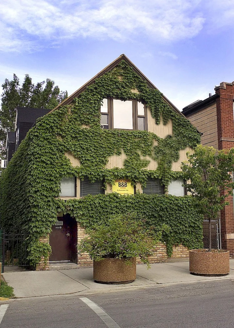 Ray's Bucktown B&B