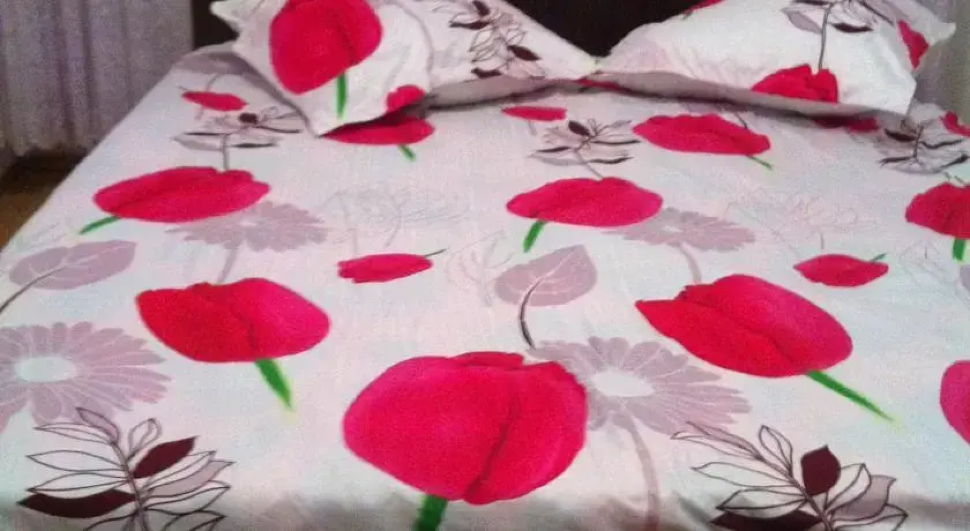 Ion Cernic Apartments