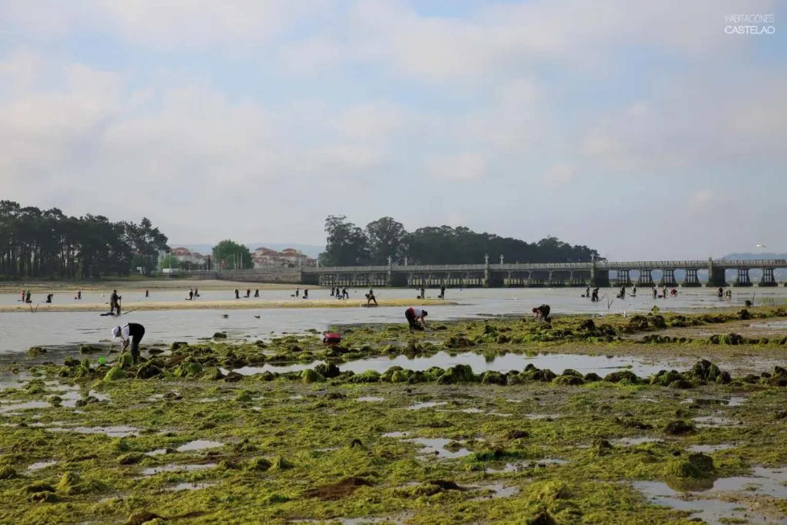 Habitaciones Castelao