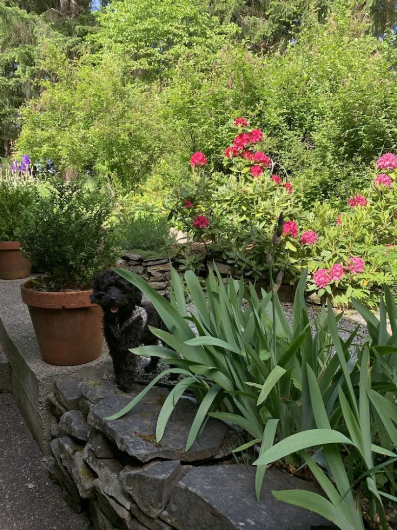 Salt Spring Carriage House B&B