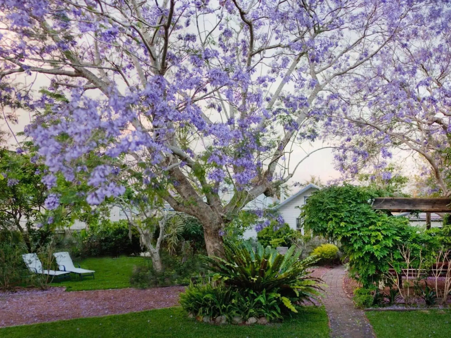 Witts Oasis Two traditional Tea Gardens cottages