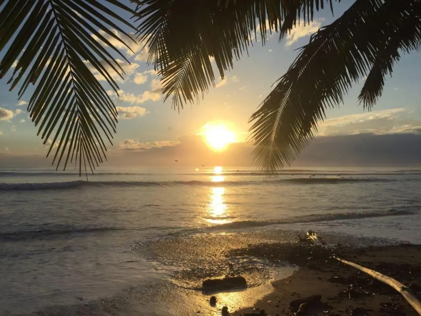 Boho lodge Montezuma l&l