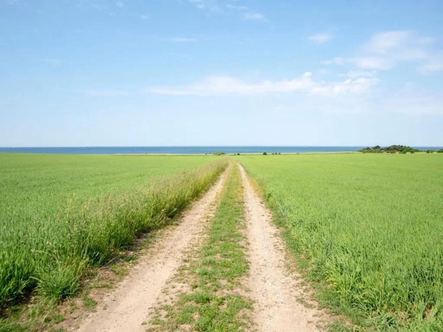 Mellem-rummet Guesthouse