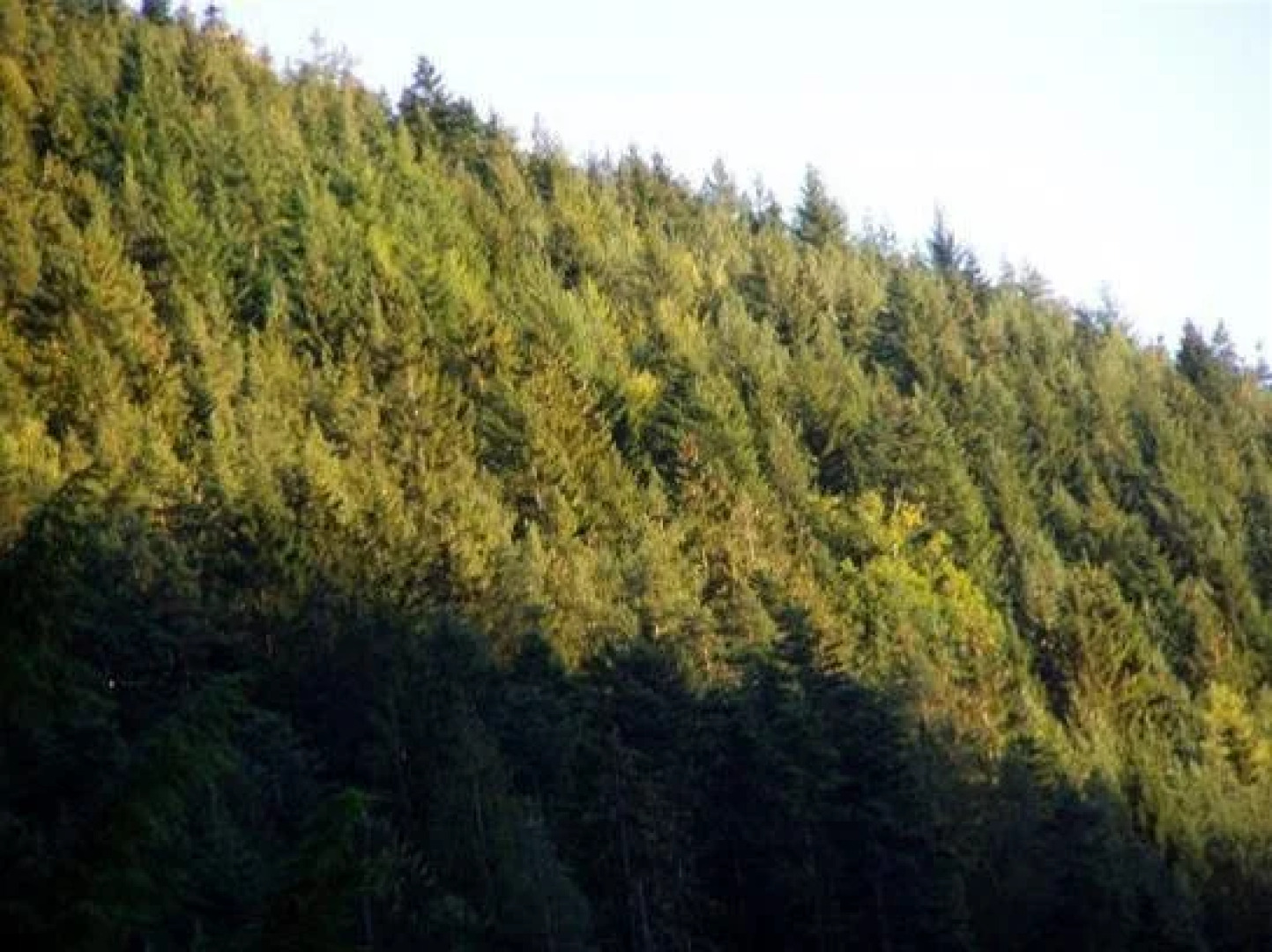 Nichtraucher Hotel Sonnenbring