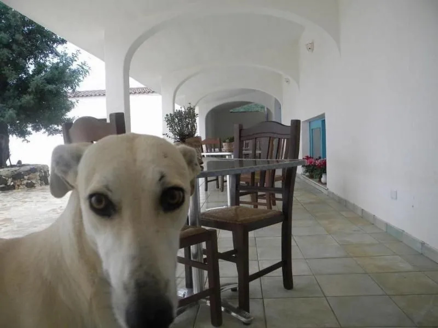 Agriturismo Sa Conca Ruia