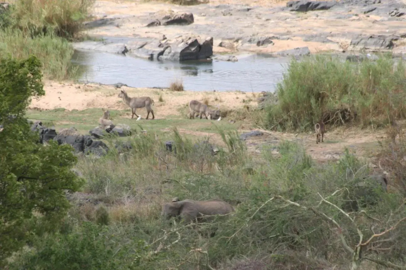 Villa Too Kruger Lodge