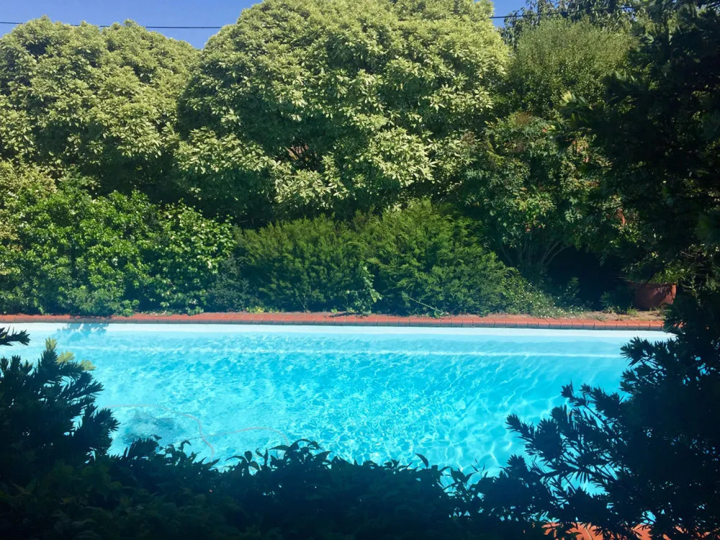 Georgie's Boutique B&B