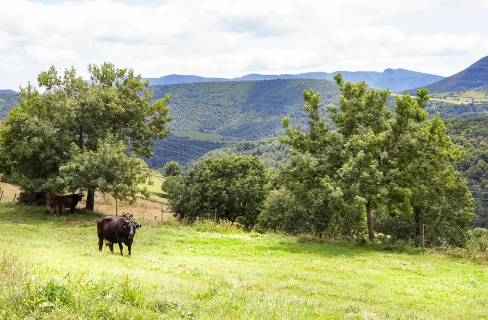 Albergue A Reboleira