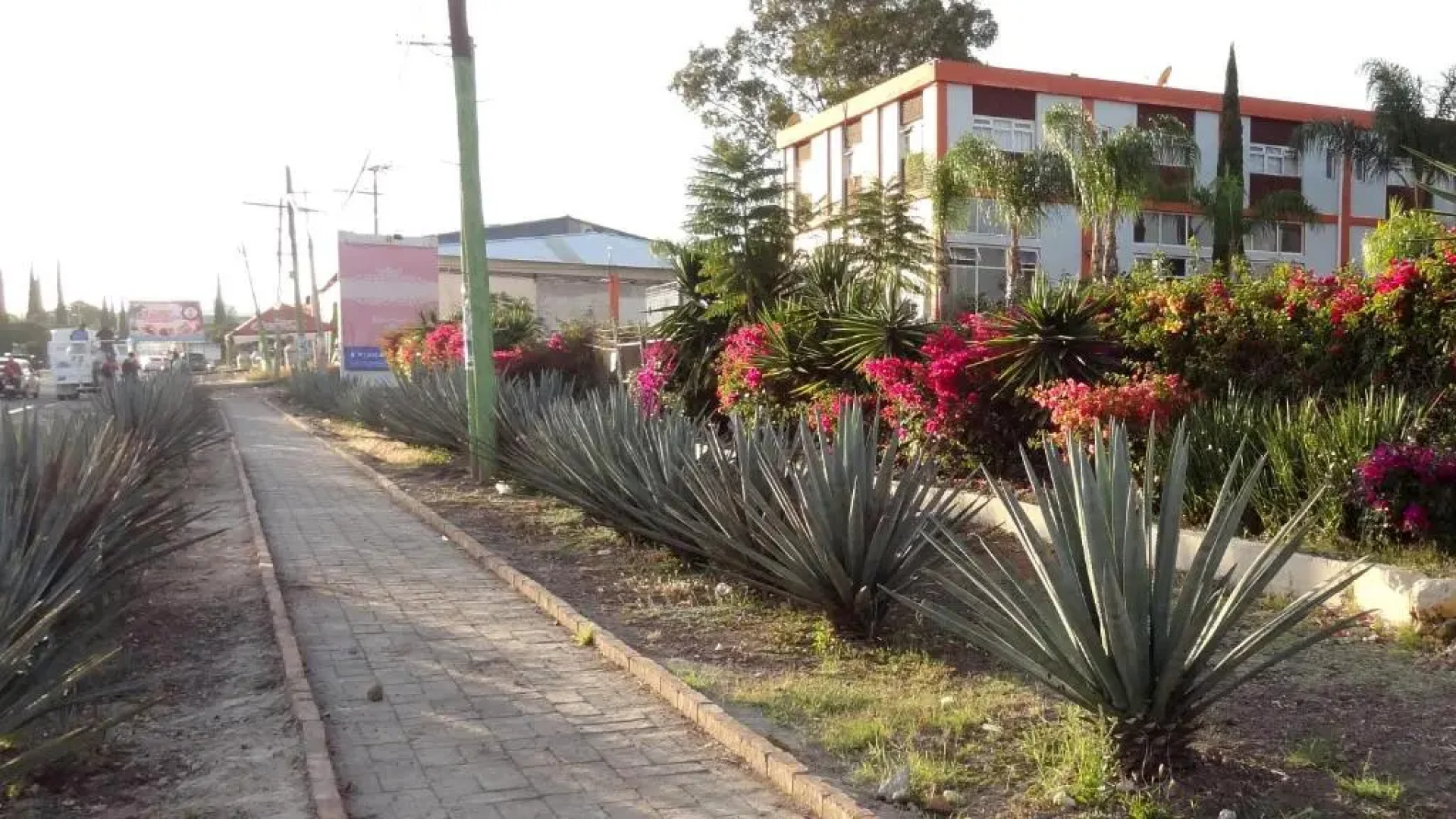 Hotel San Miguel Penjamo