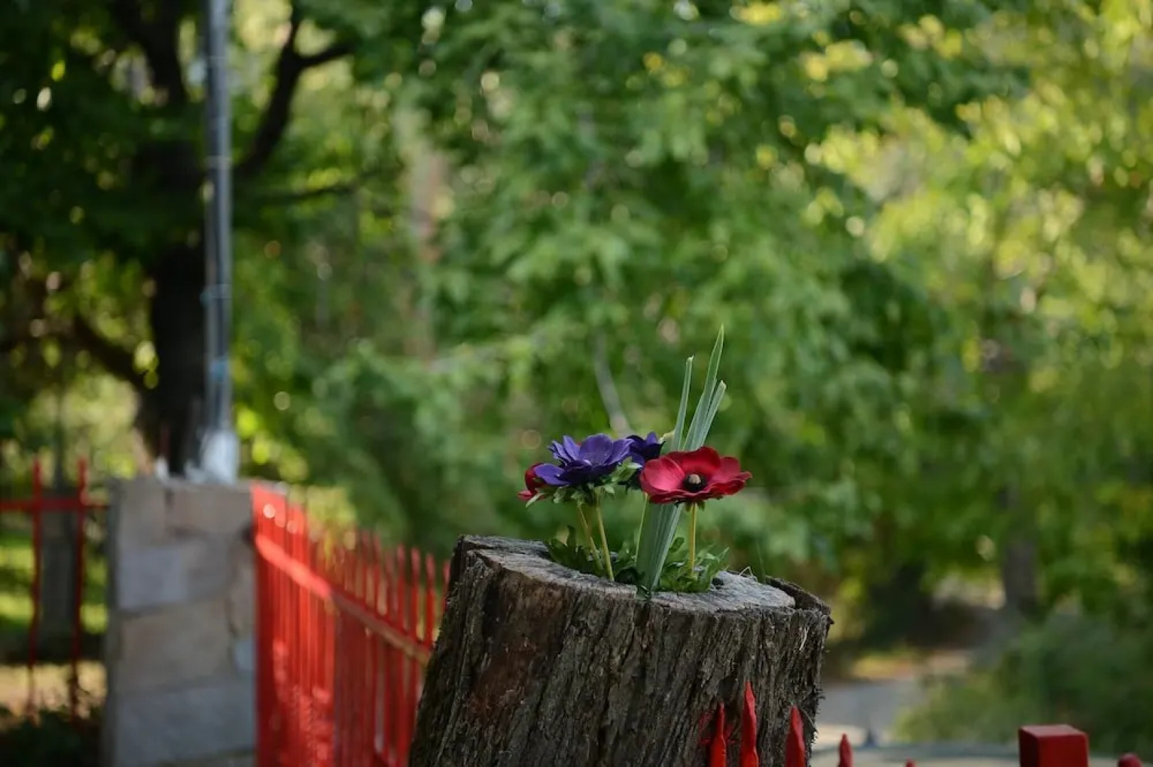 Zeusplace Valentina's House Elatochori