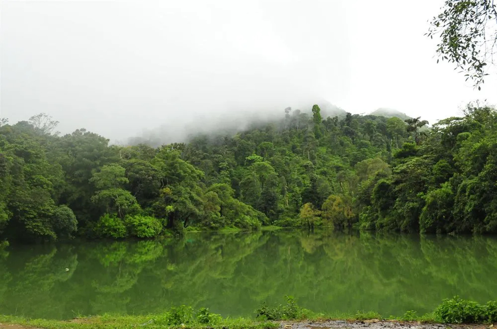 SanJose Holiday Home Resort