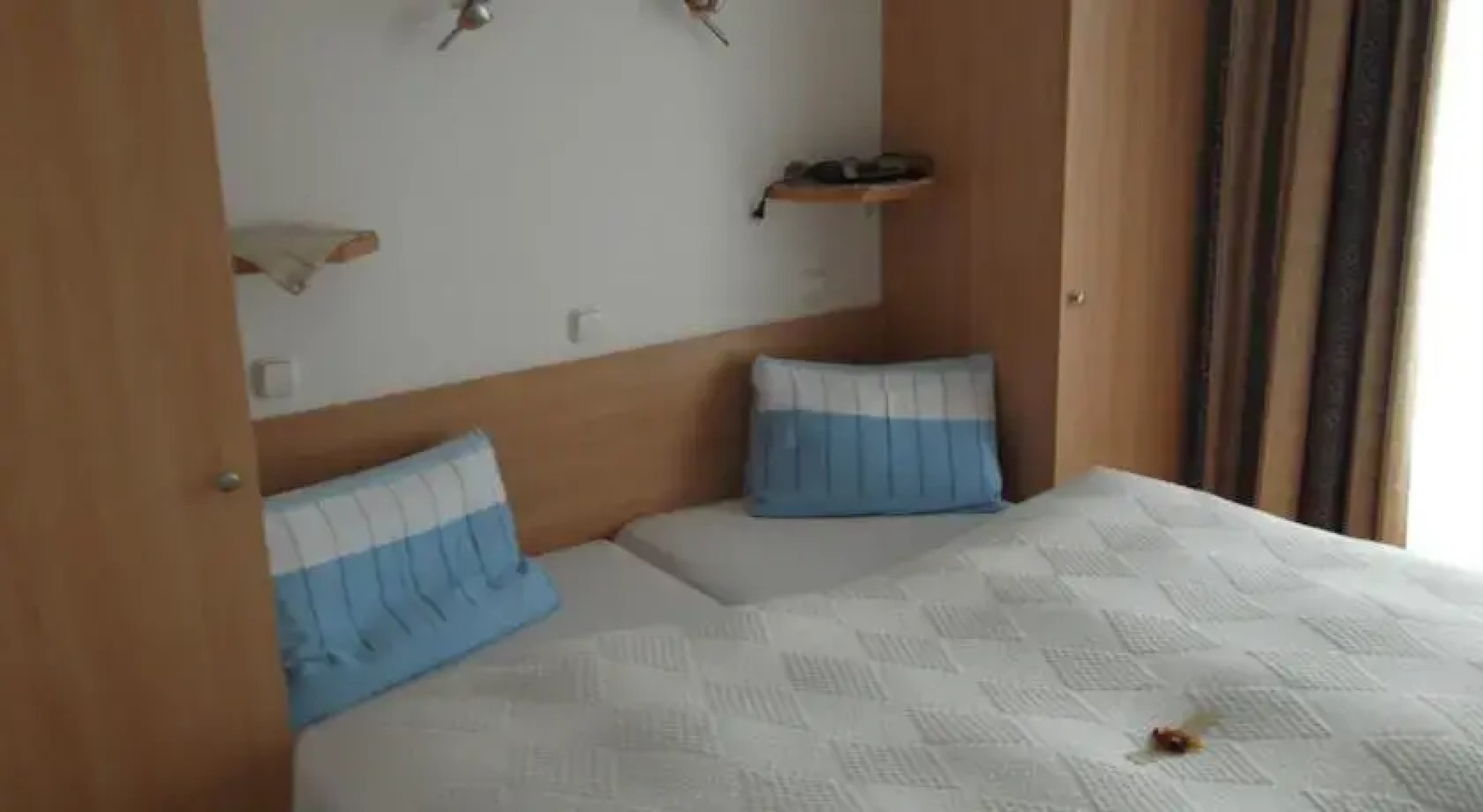 Pension Plieschnegger