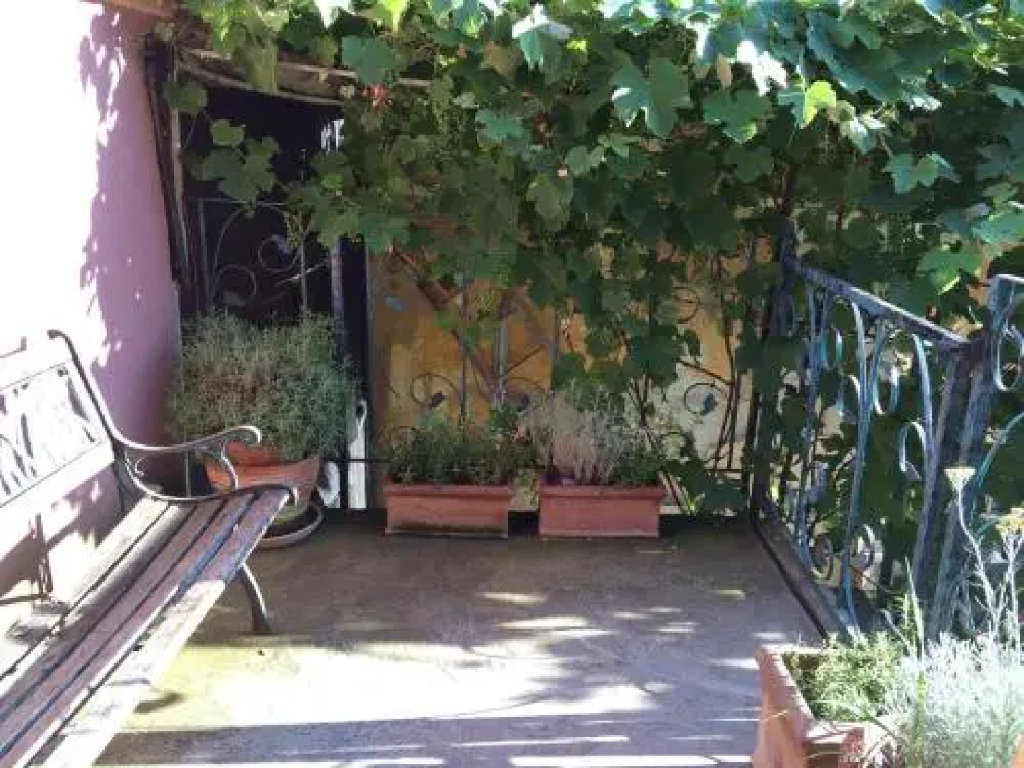 Dominic Boutique Tamplarilor