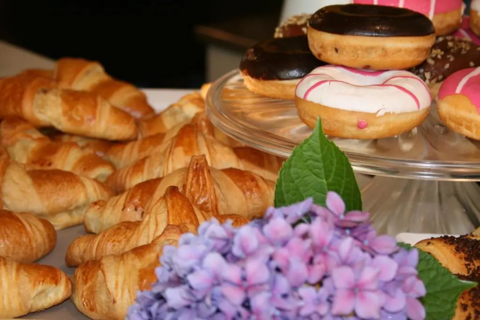 Bernina Express Eco Rooms&Breakfast