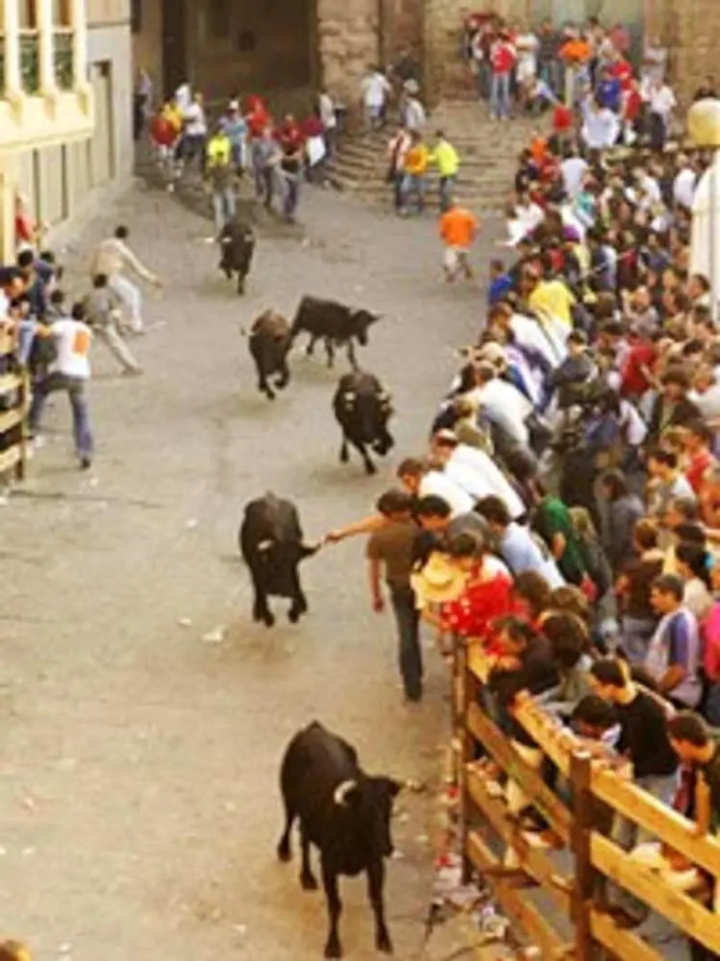 Apartment With 3 Bedrooms in Cardona, With Wonderful City View, Enclosed Garden and Wifi