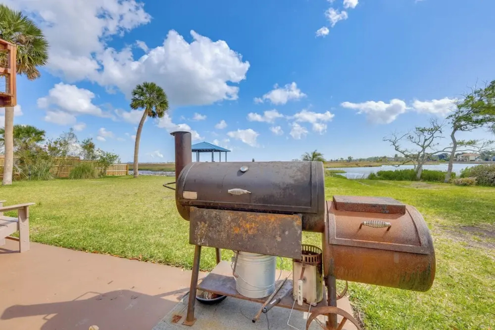 Fish & Bird Watch: Waterfront Jacksonville Gem