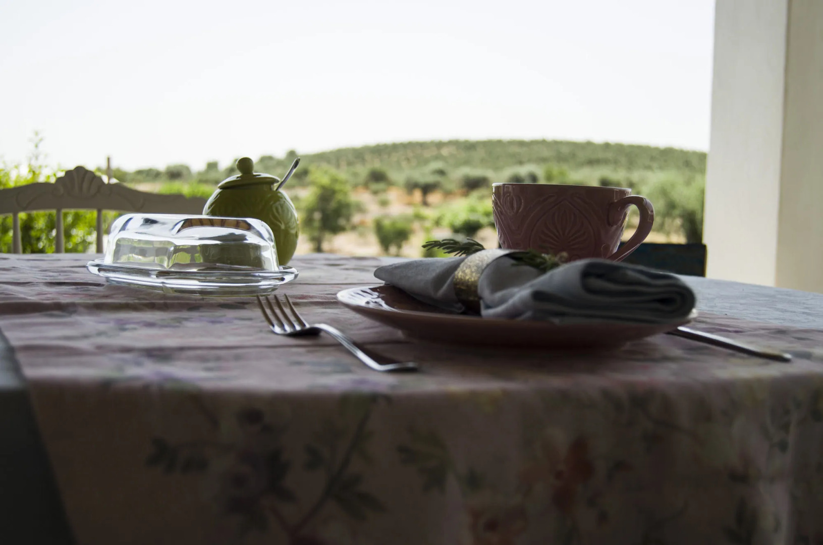 Monte da Estrela Country House & SPA