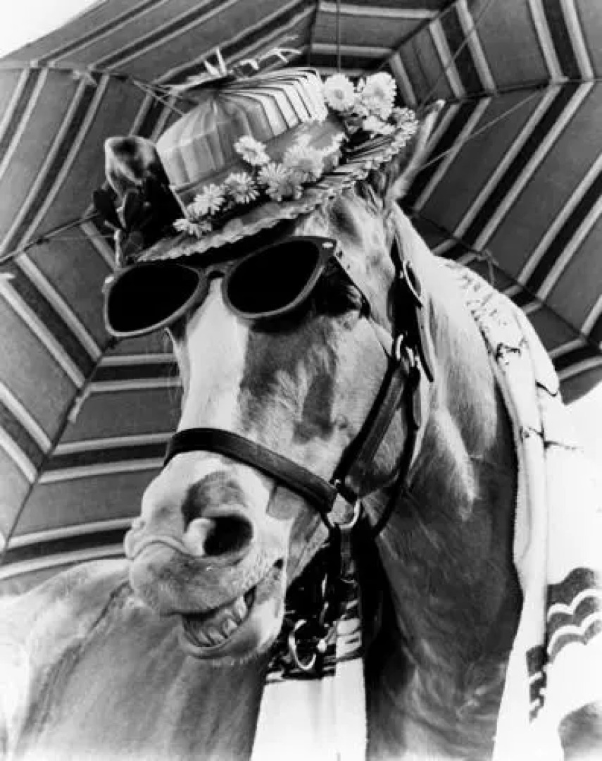 Rose City Caravan Park