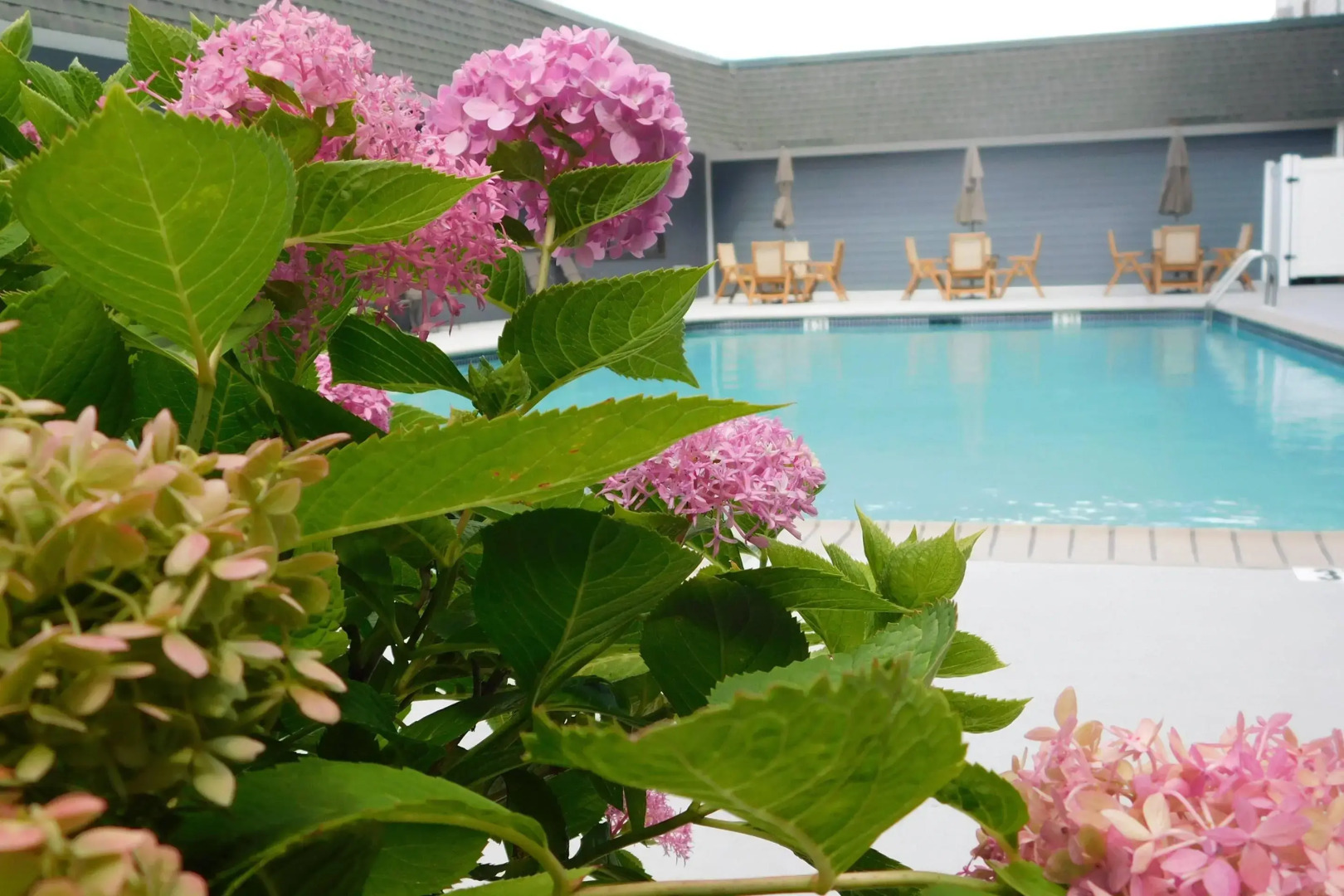 Comfort Inn & Suites Glen Mills - West Chester