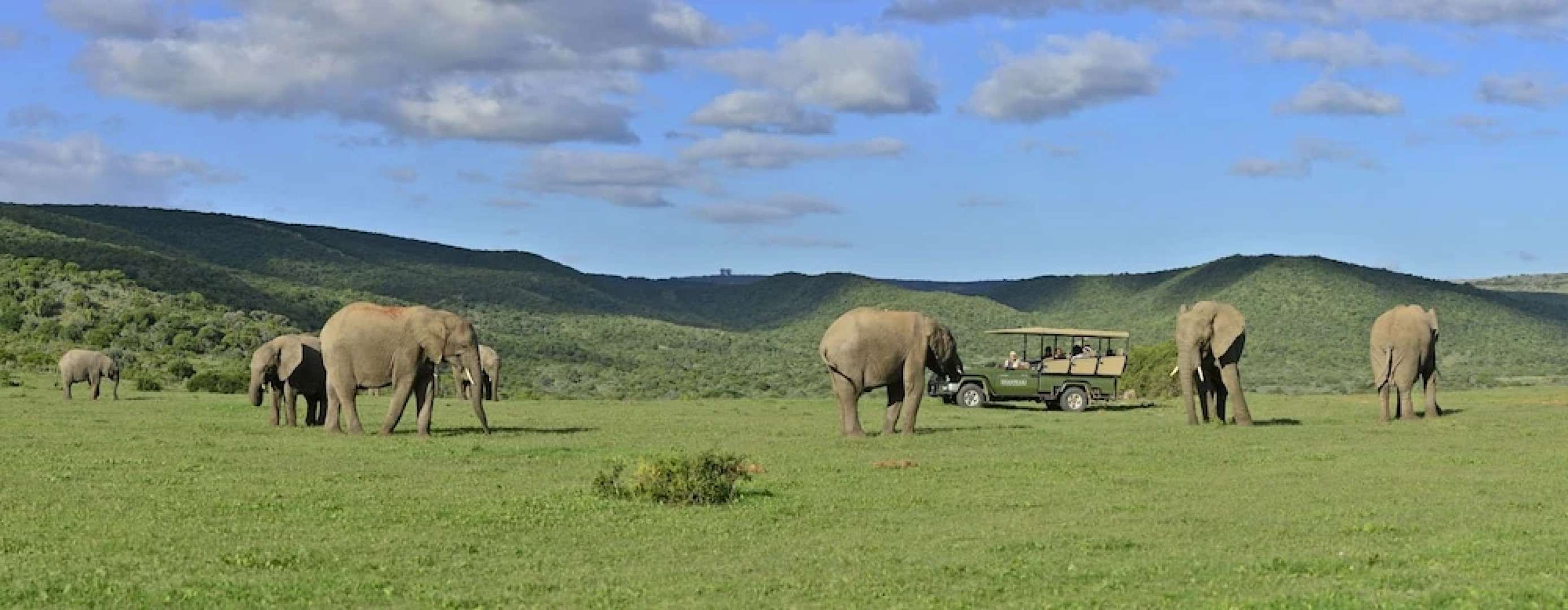 Shamwari Long Lee Manor