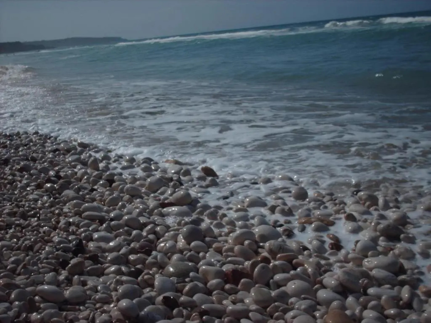 Apartment La Conchiglia