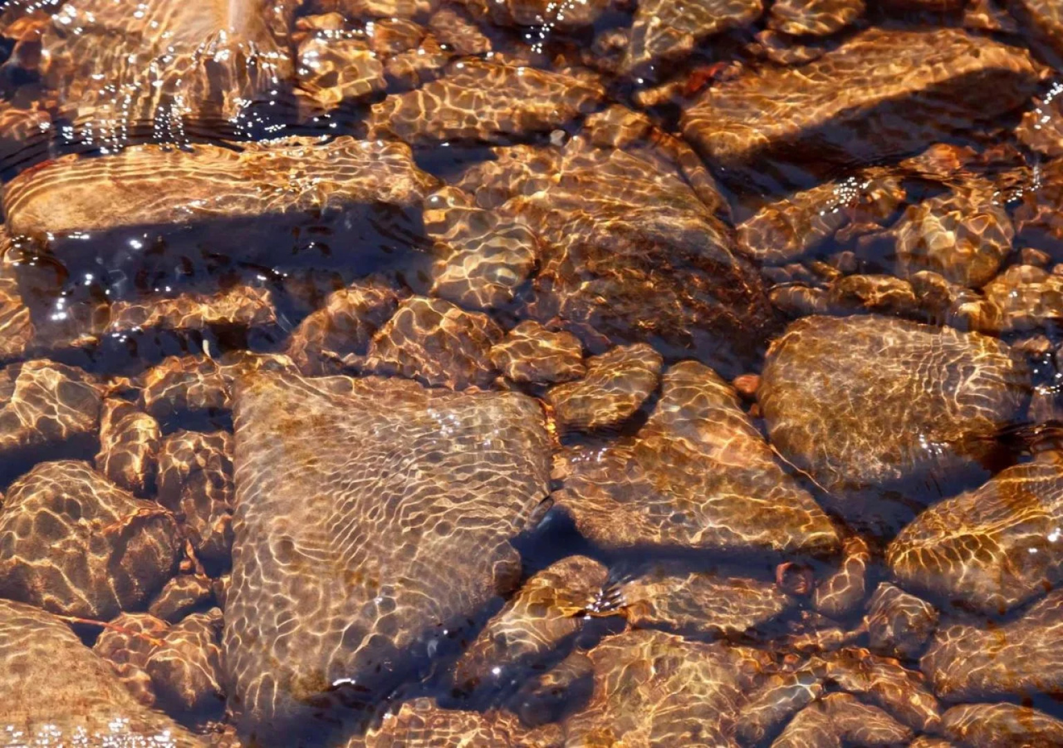 Tailwater Lodge Altmar, Tapestry Collection by Hilton