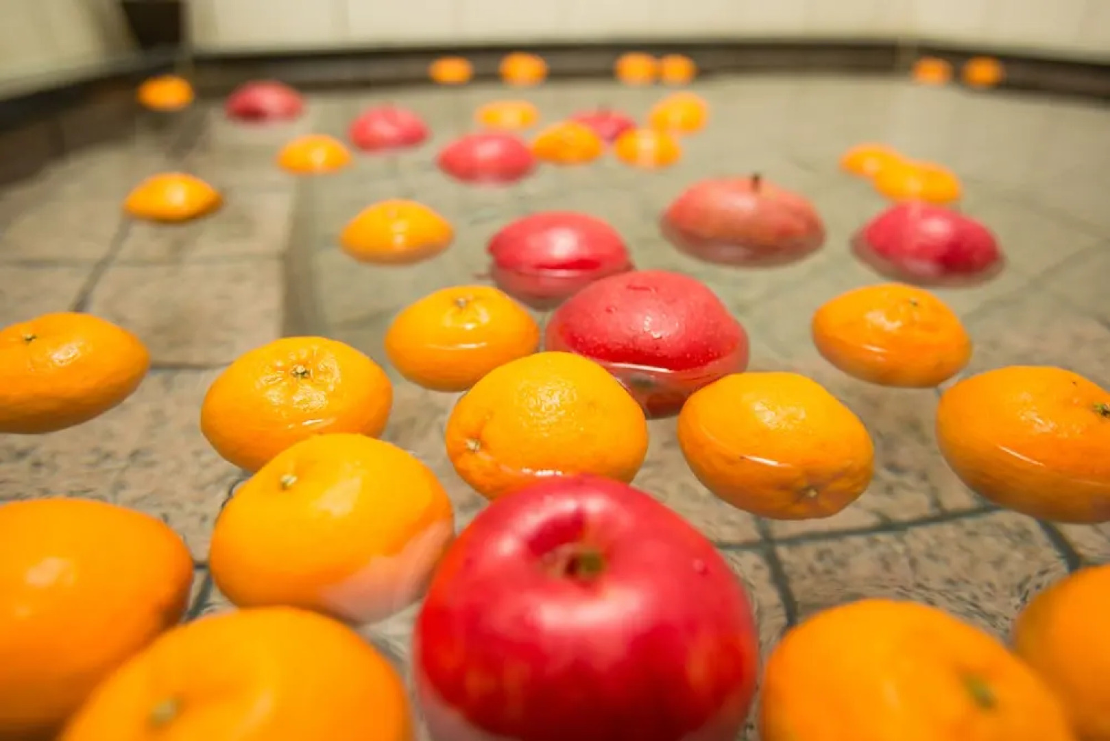 Kinosaki THE CRAB HOUSE KANIAN