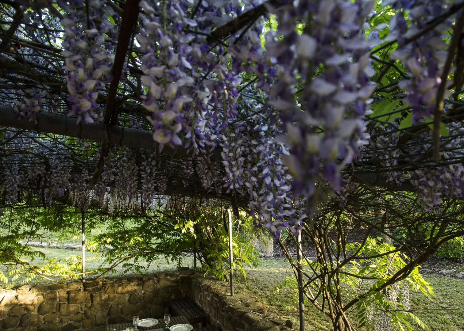 Villa Glicini - delightful cottage with pool