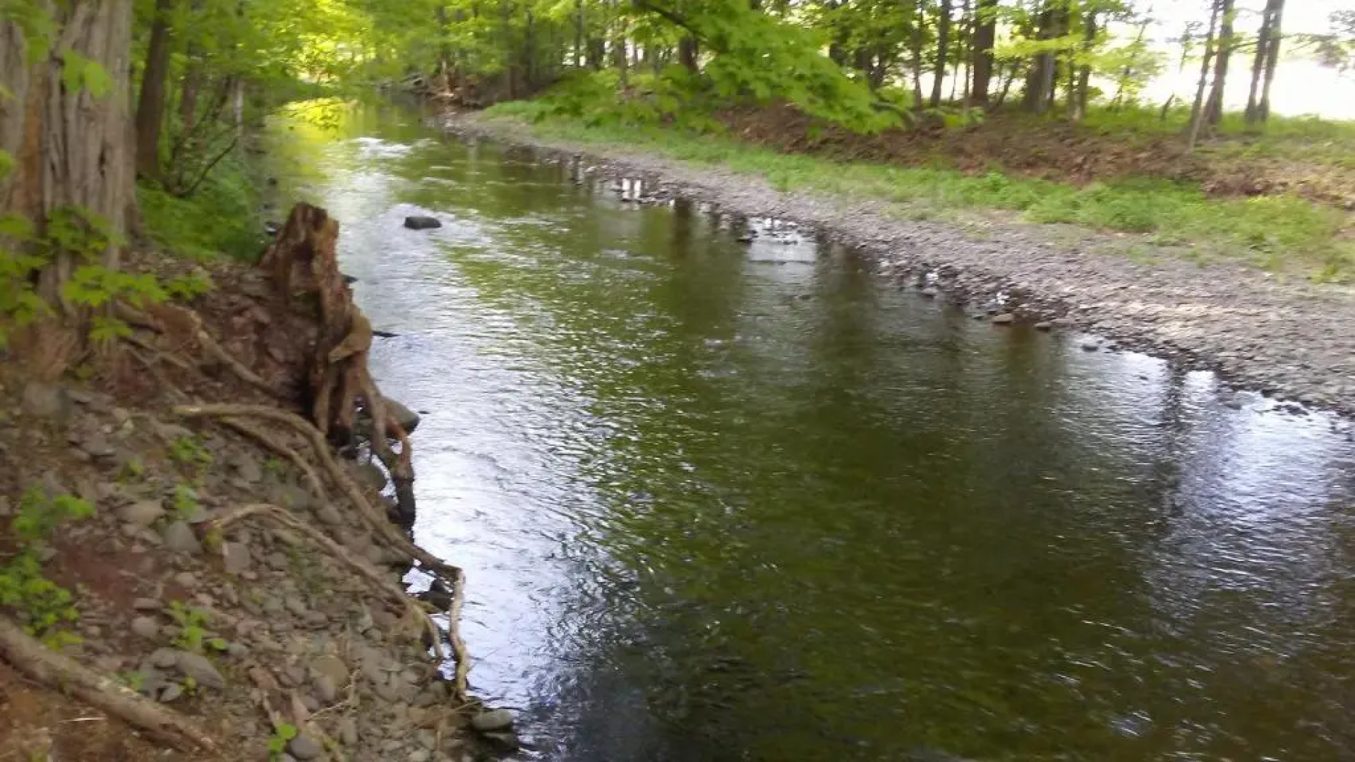 Catskill Motor Court Motel