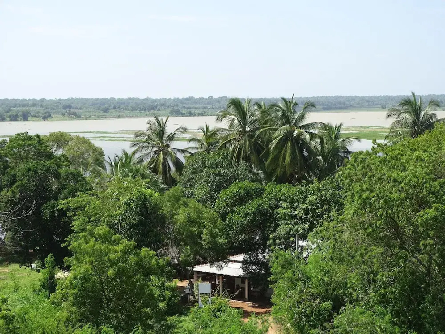 Hotel Grand Halabana