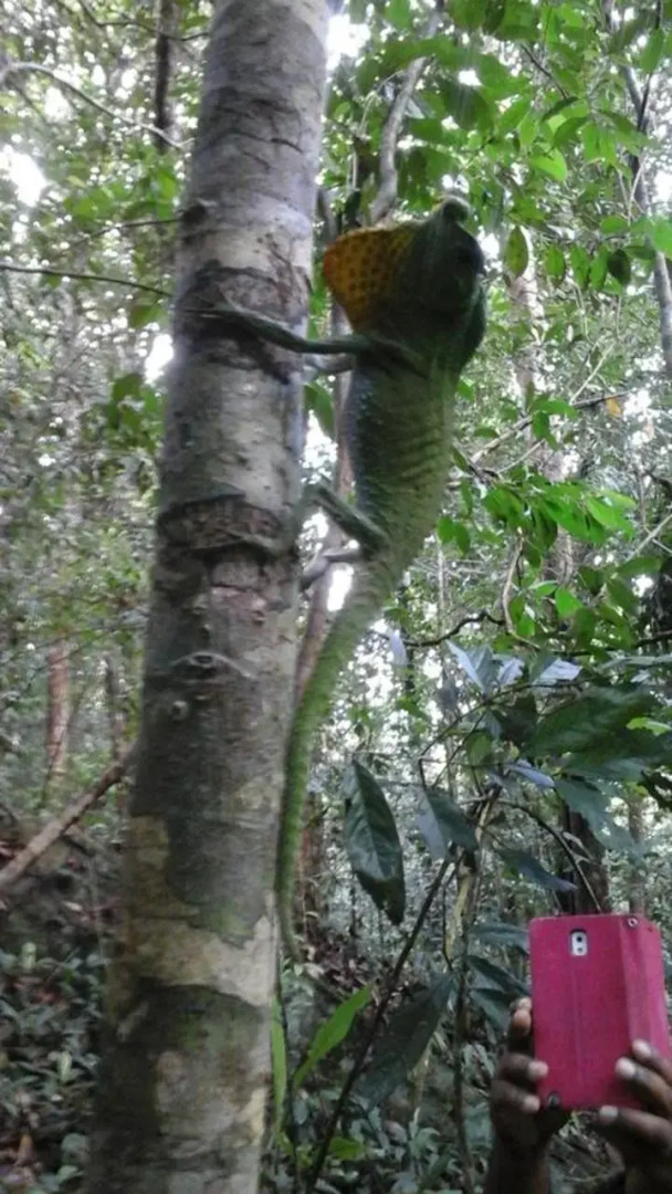 Deniyaya Guest House