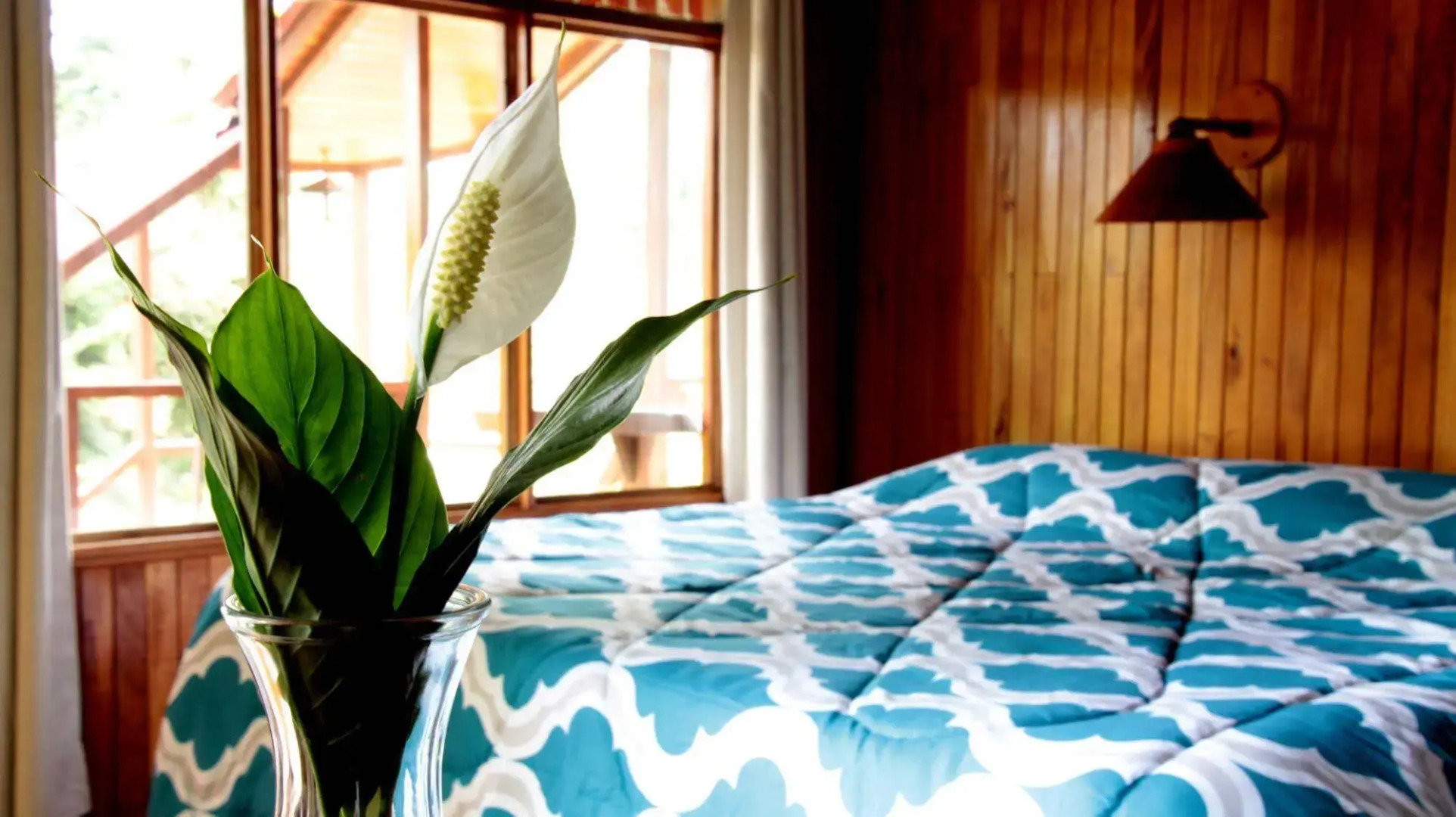 Hotel Holístico Monteverde