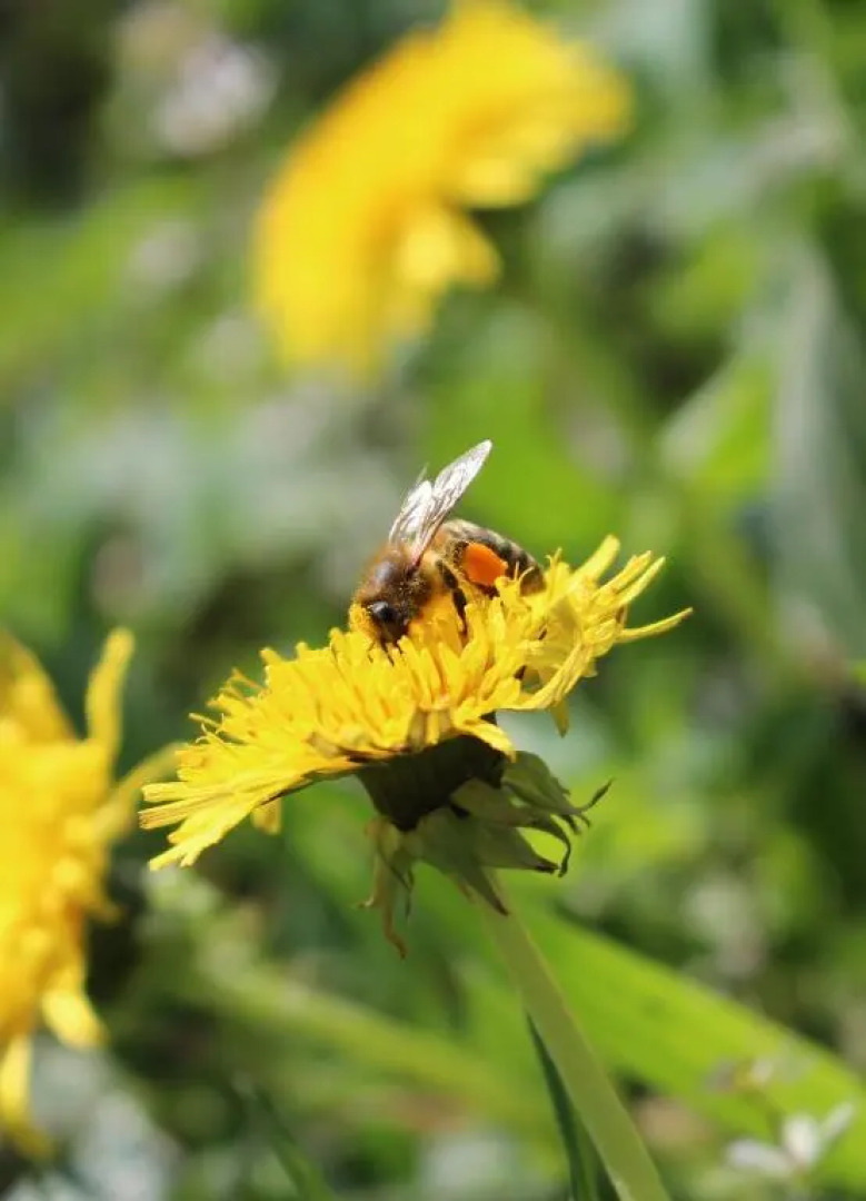 Urlaub mitten im Wald - Lueg