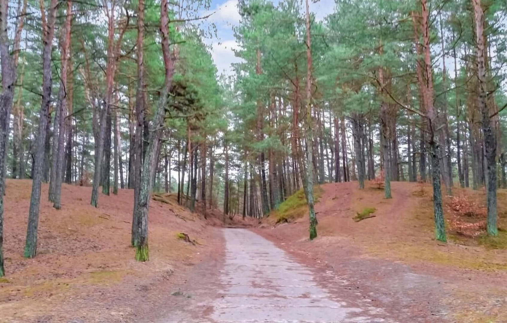 Awesome Apartment in Stegna With Wifi