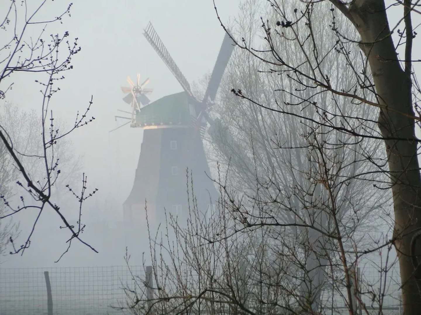 Spacious Apartment With Garden in Boisendorf