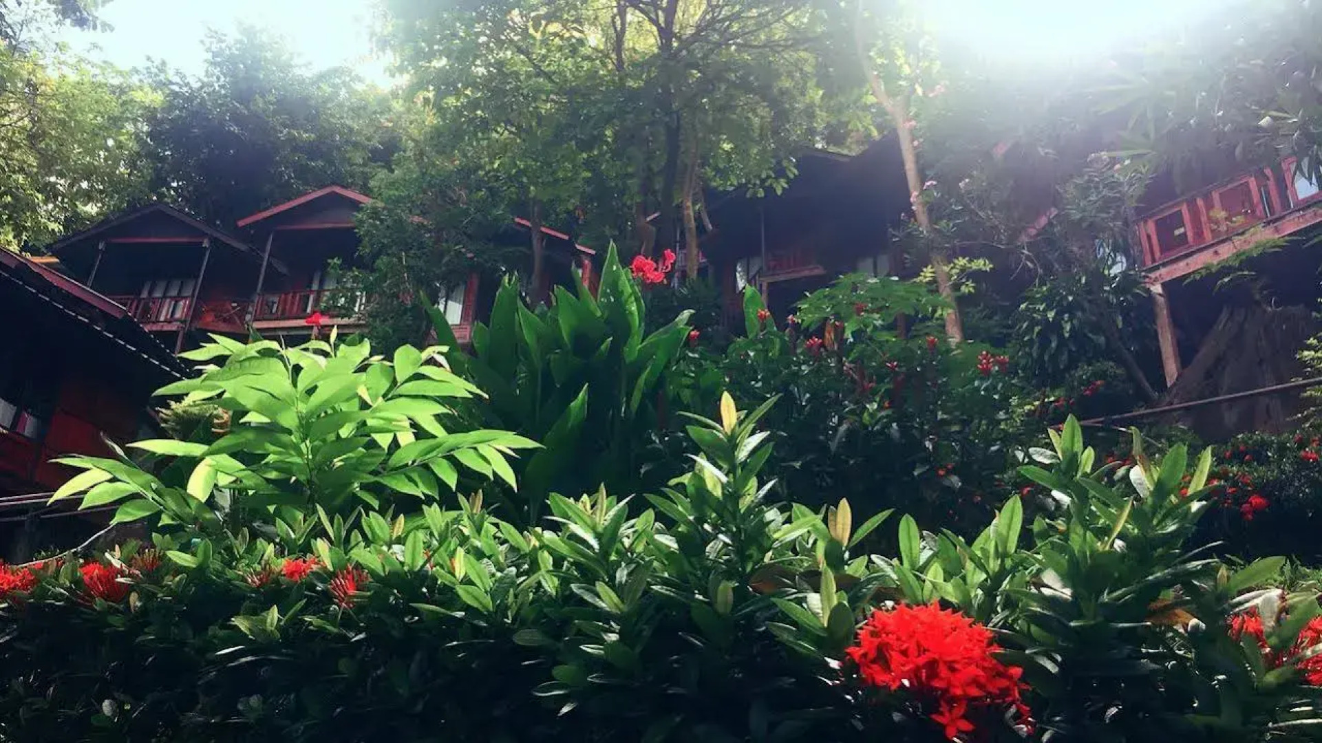 Phi Phi Green Hill Resort