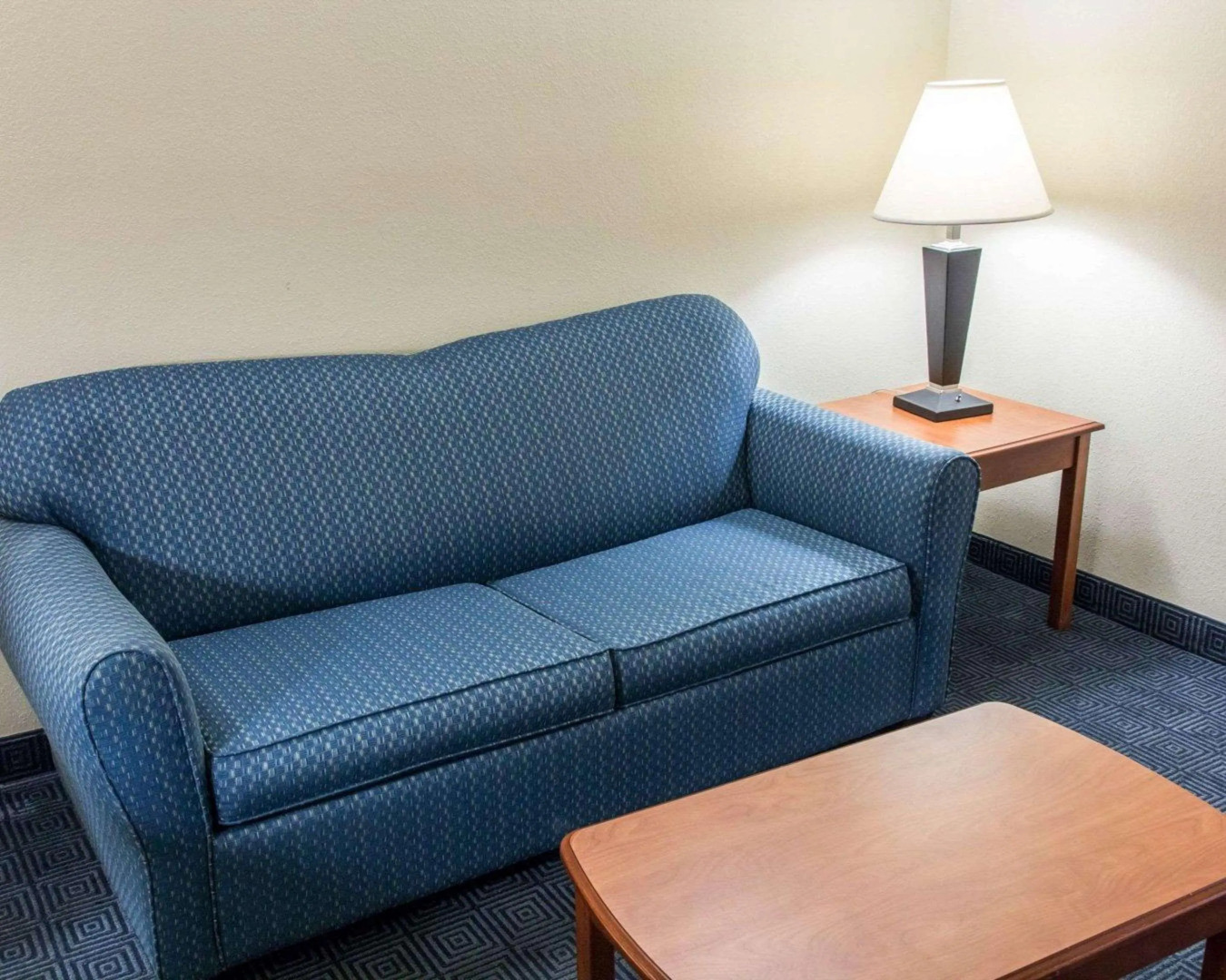Comfort Inn & Suites Statesboro - University Area