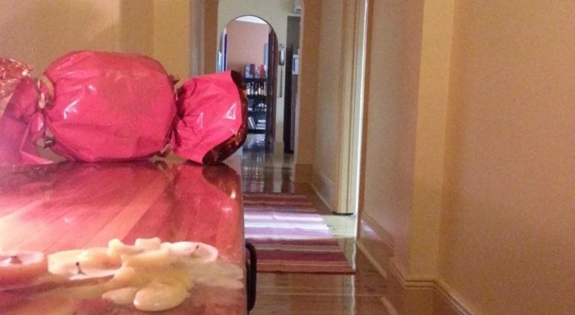 Sydney Airport Executive Homestay