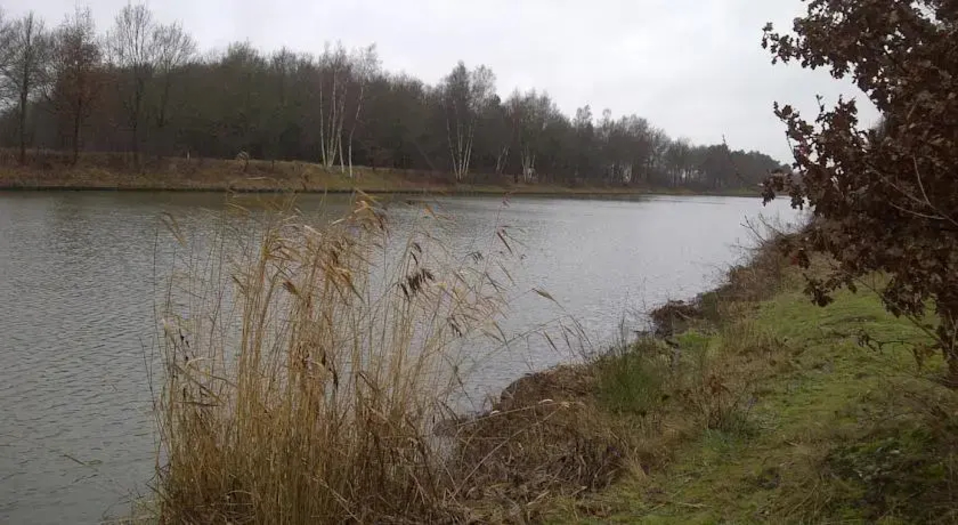 Welkom op de Mildert